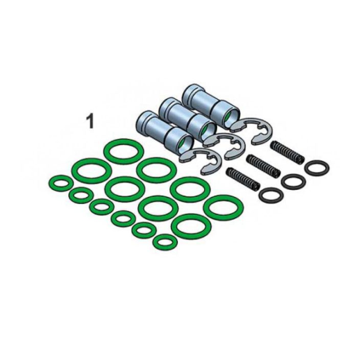 Set za reparaciju injektora / dizni STAG W01 – LPG/CNG